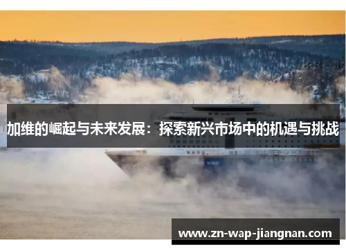 加维的崛起与未来发展：探索新兴市场中的机遇与挑战